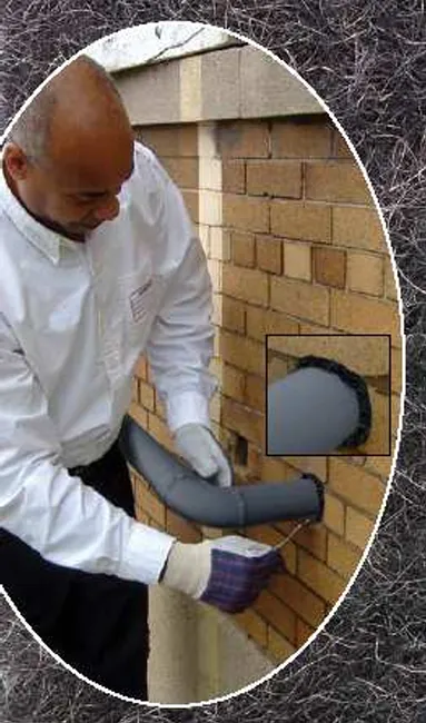 Service de Rebouchage de Trous et Fissures pour Éviter les Intrusions de Rongeurs, Maubeuge, Destru Nuisibles