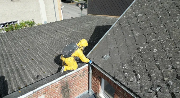 Désinsectisation nid de guêpe sous toiture à Avesne-sur-Helpe, Maubeuge, Destru Nuisibles