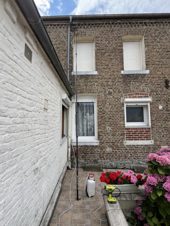 🐝 Intervention à Rousies : Traitement d’un nid en hauteur, Maubeuge, Destru Nuisibles